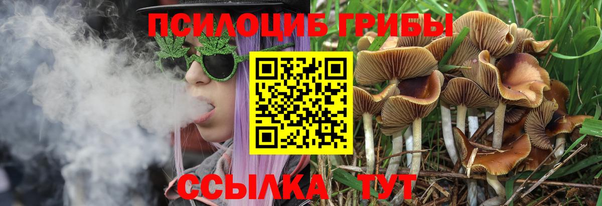 Керчь  Псилоцибиновые грибы Cubensis  Вход с VPN  Псилоцибиновые грибы MAGIC MUSHROOMS 